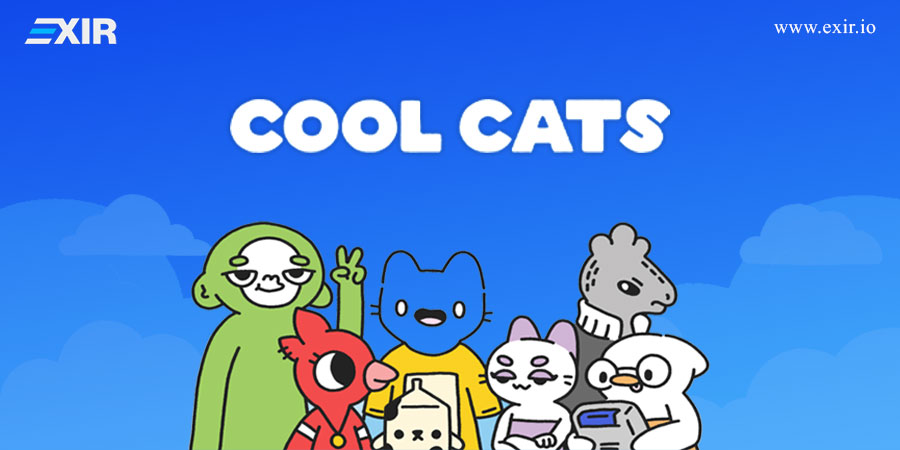 پروژه Cool Cats