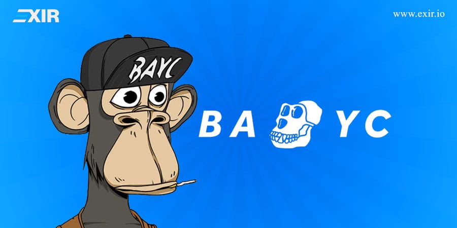 پروژه Bored Ape Yacht Club