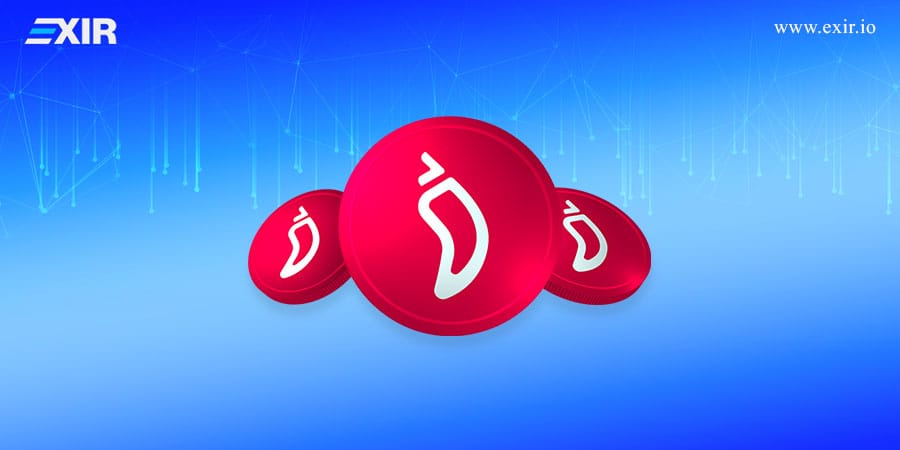 امنیت شبکه چیلیز