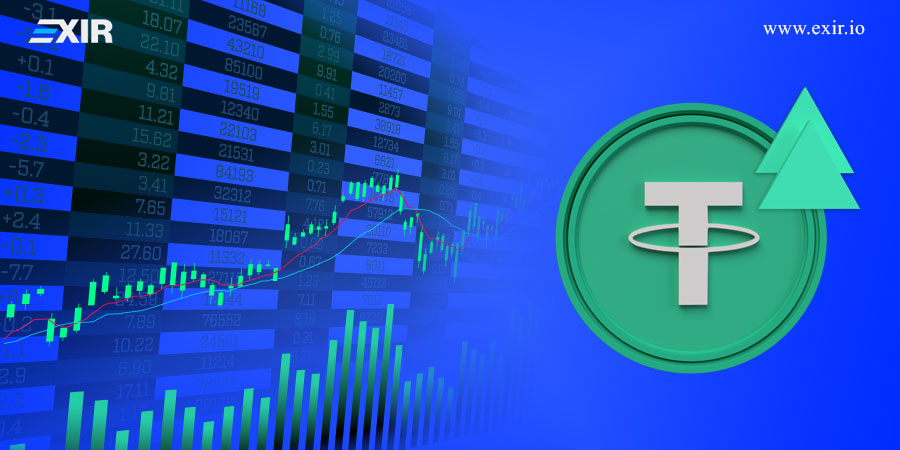 چه کسی در این زمینه تصمیمگیری میکند؟
