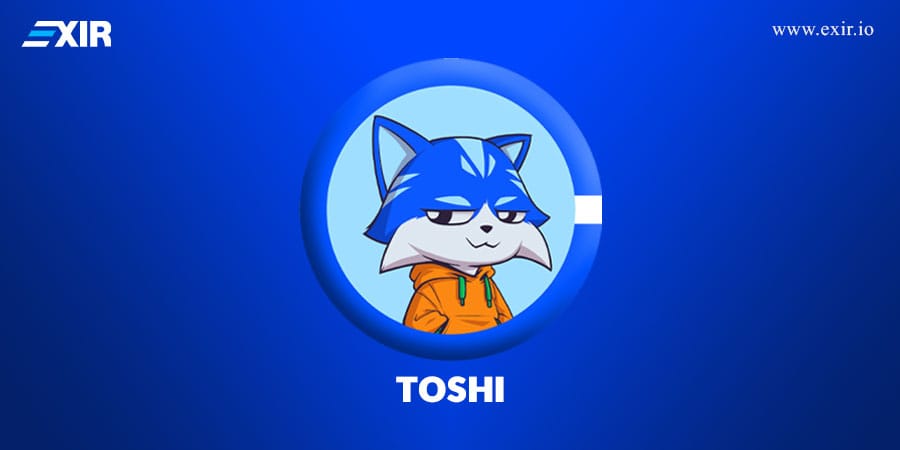اکوسیستم TOSHI و برنامههای آینده