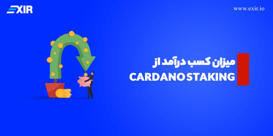 میزان کسب درآمد از cardano staking