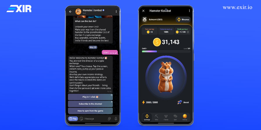 بازی همستر (Hamster Kombat) در تلگرام چیست؟