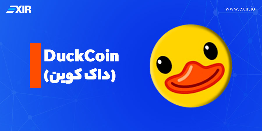 ارز دیجیتال داک کوین (DuckCoin) میم کوین شبکه Ton