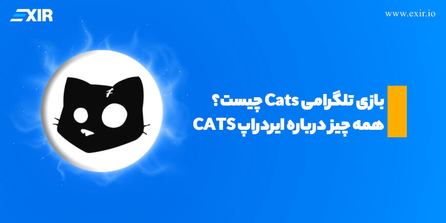 بازی Cats چیست؟ همه چیز درباره بازی تلگرامی CATS