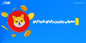 معرفی رقبای شیبا اینو , معرفی برترین رقبای SHIBA