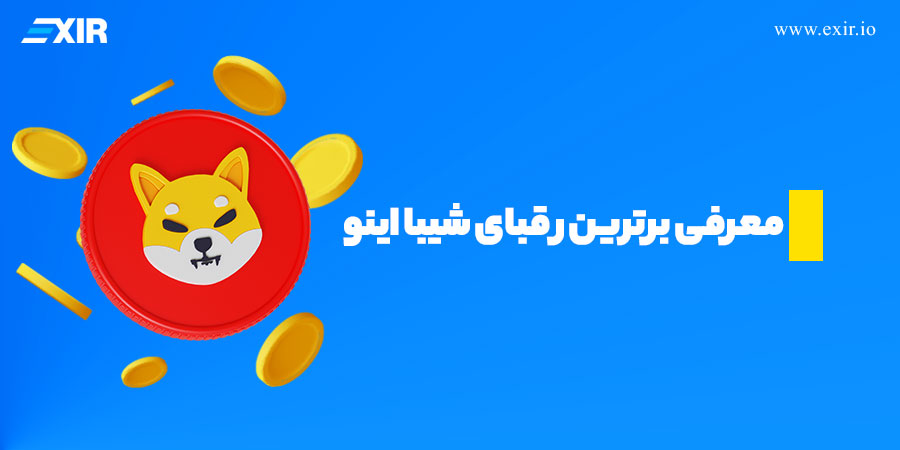 معرفی رقبای شیبا اینو , معرفی برترین رقبای SHIBA