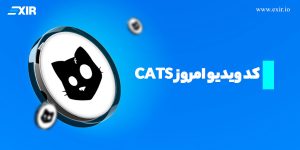 کد ویدیو امروز Cats + کد تمامی ویدیوهای کتس